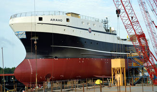 F/T Araho