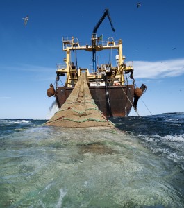 Pelagic trawler