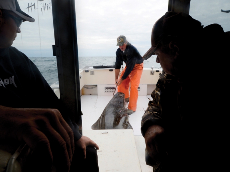 North Pacific Council to Talk Halibut Rules, Groundfish Quotas