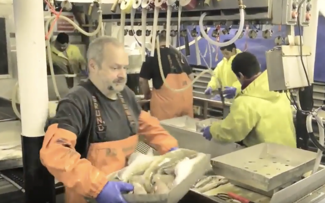 NOAA Says Seafood for Reprocessing Exempt from Chinese Tariffs, but Rebate System May Impose Costs